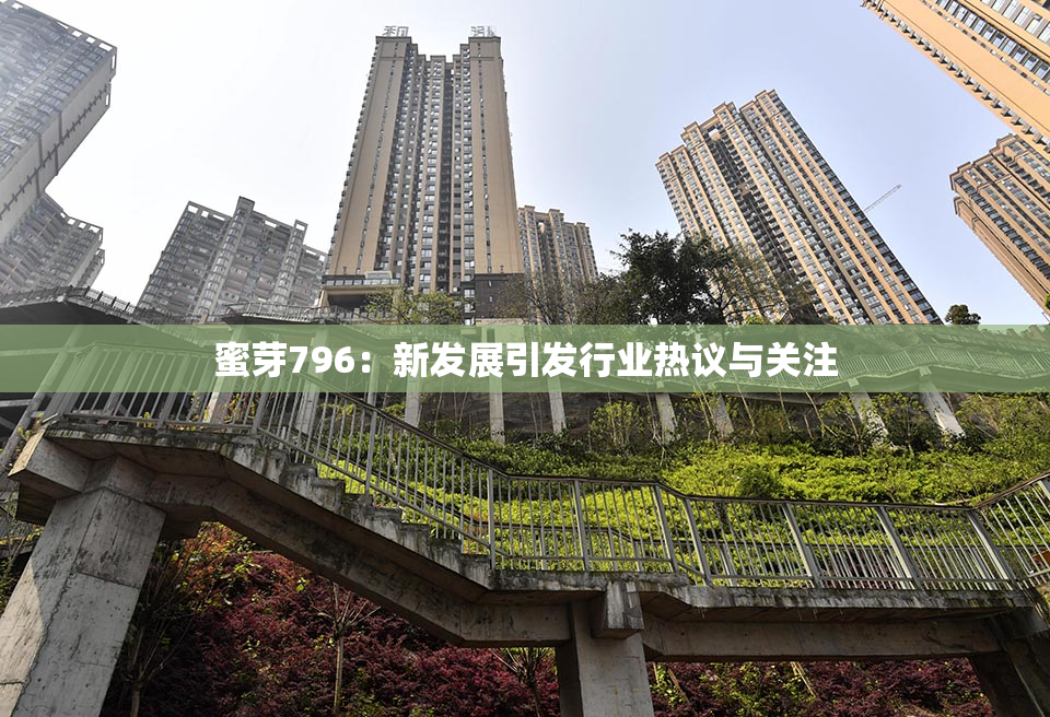 蜜芽796：新发展引发行业热议与关注