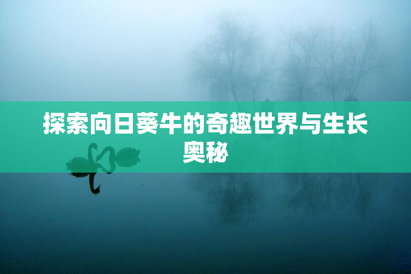 探索向日葵牛的奇趣世界与生长奥秘