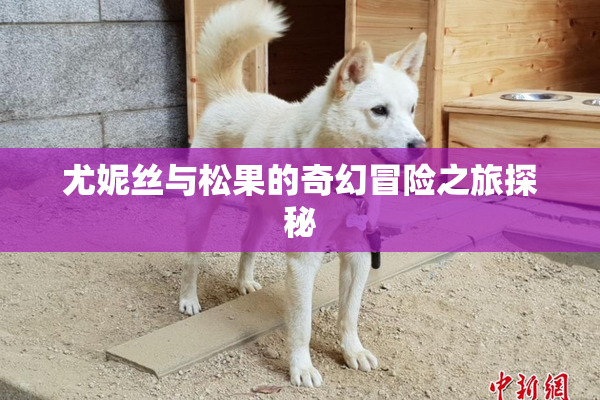 尤妮丝与松果的奇幻冒险之旅探秘