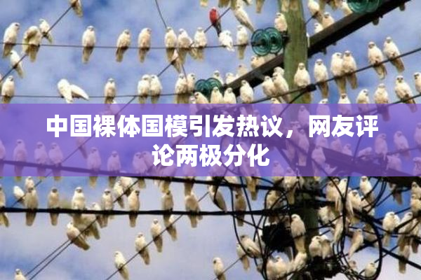 中国裸体国模引发热议，网友评论两极分化