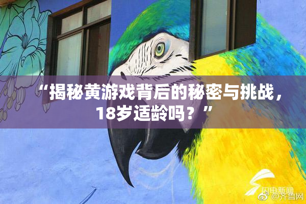 “揭秘黄游戏背后的秘密与挑战，18岁适龄吗？”
