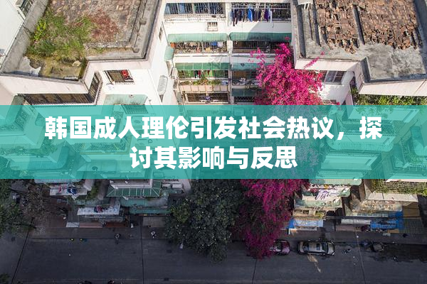 韩国成人理伦引发社会热议，探讨其影响与反思