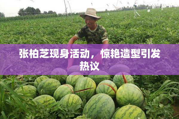 张柏芝现身活动，惊艳造型引发热议