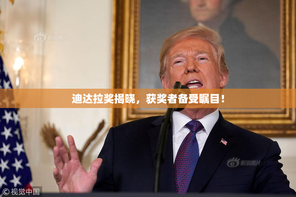 迪达拉奖揭晓，获奖者备受瞩目！
