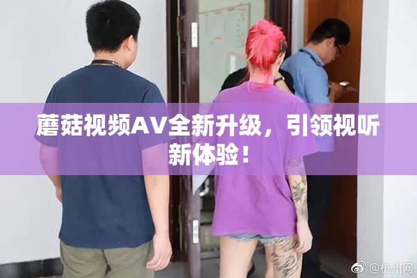 蘑菇视频AV全新升级，引领视听新体验！