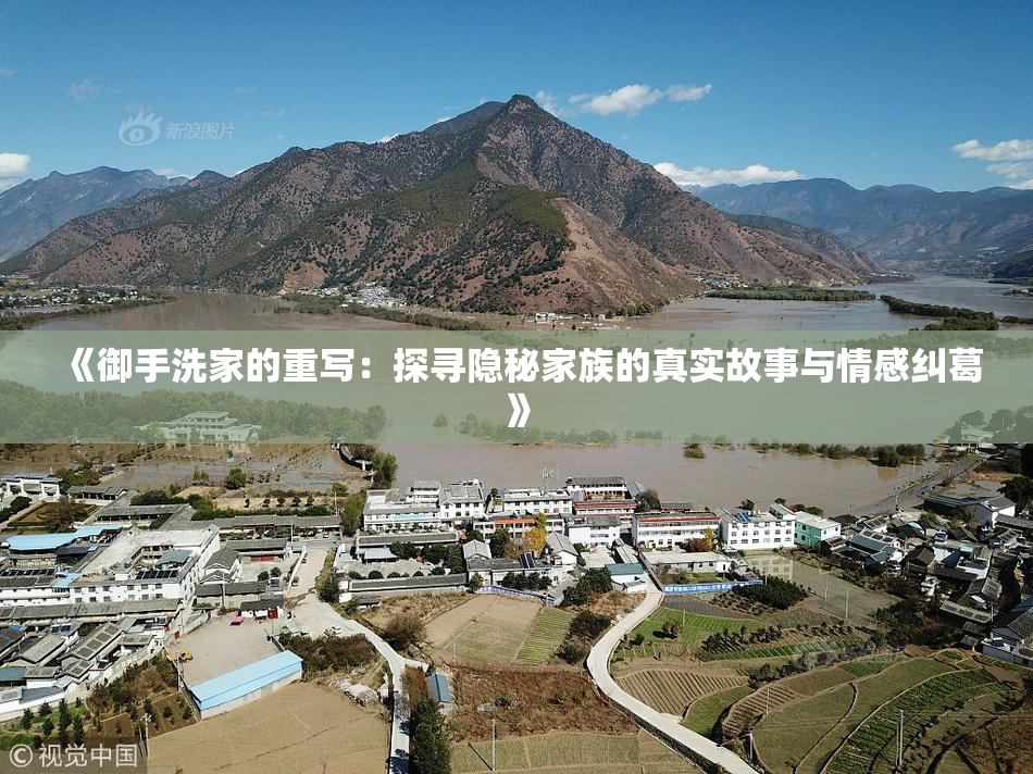 《御手洗家的重写：探寻隐秘家族的真实故事与情感纠葛》