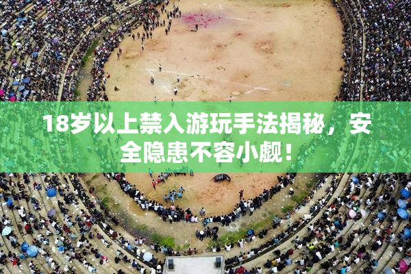 18岁以上禁入游玩手法揭秘，安全隐患不容小觑！