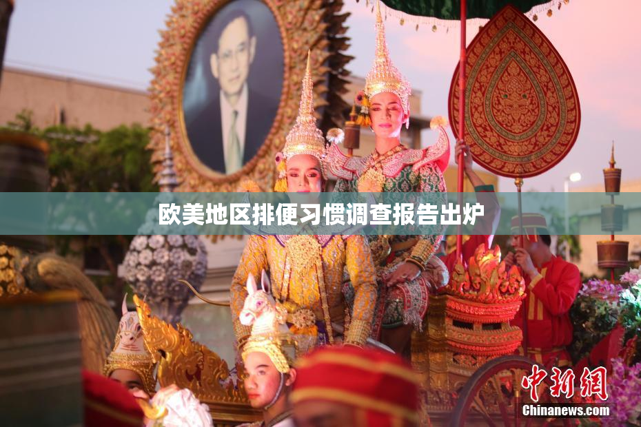 欧美地区排便习惯调查报告出炉