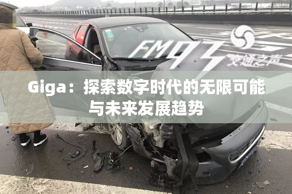 Giga：探索数字时代的无限可能与未来发展趋势