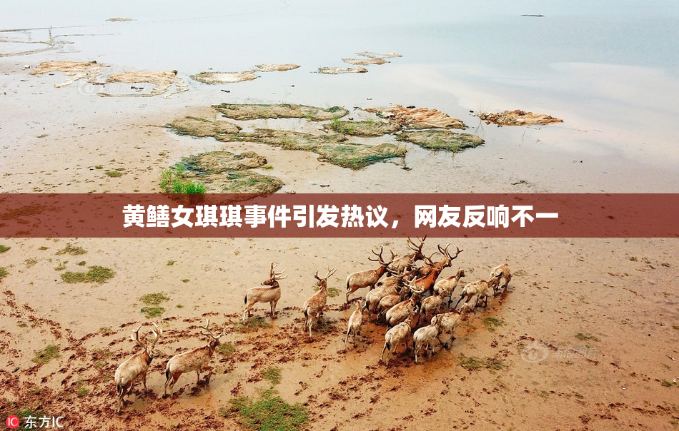 黄鳝女琪琪事件引发热议，网友反响不一