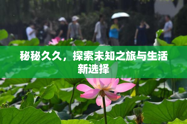 秘秘久久，探索未知之旅与生活新选择