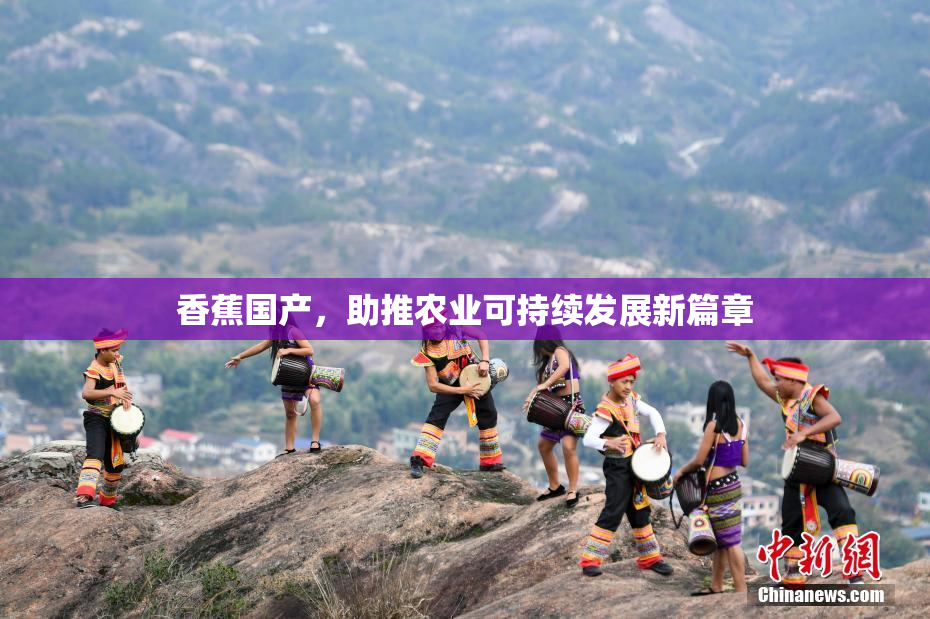 香蕉国产，助推农业可持续发展新篇章