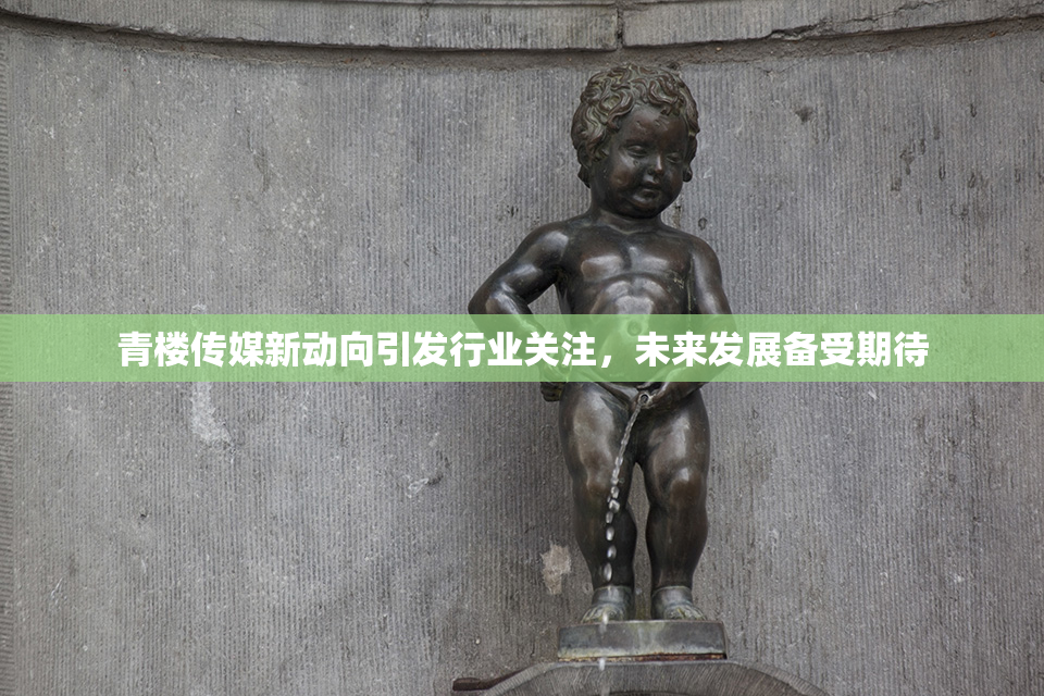 青楼传媒新动向引发行业关注，未来发展备受期待