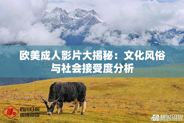 欧美成人影片大揭秘：文化风俗与社会接受度分析