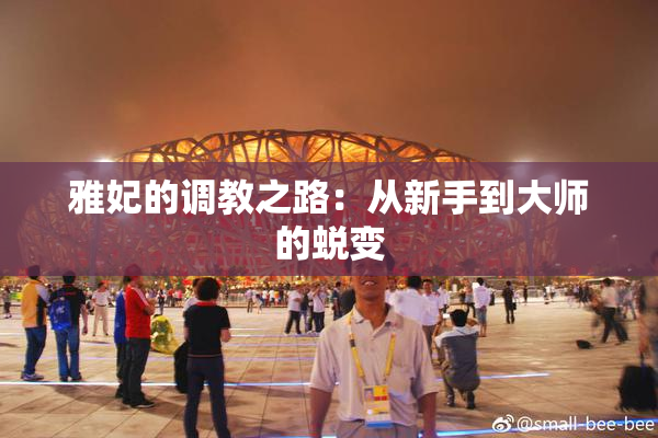 雅妃的调教之路：从新手到大师的蜕变