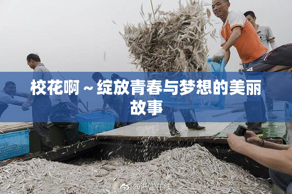 校花啊～绽放青春与梦想的美丽故事