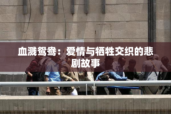 血溅鸳鸯：爱情与牺牲交织的悲剧故事