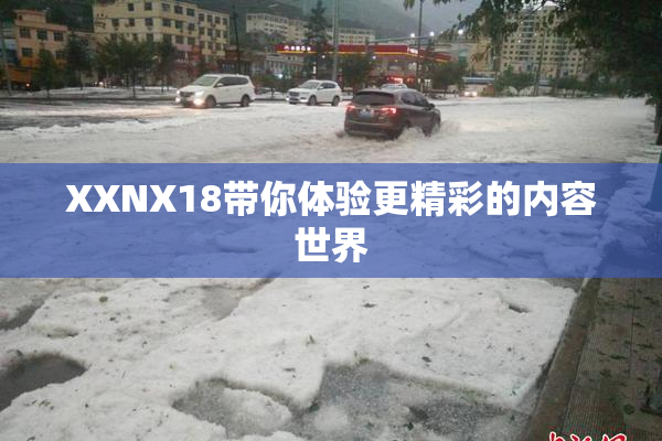 XXNX18带你体验更精彩的内容世界