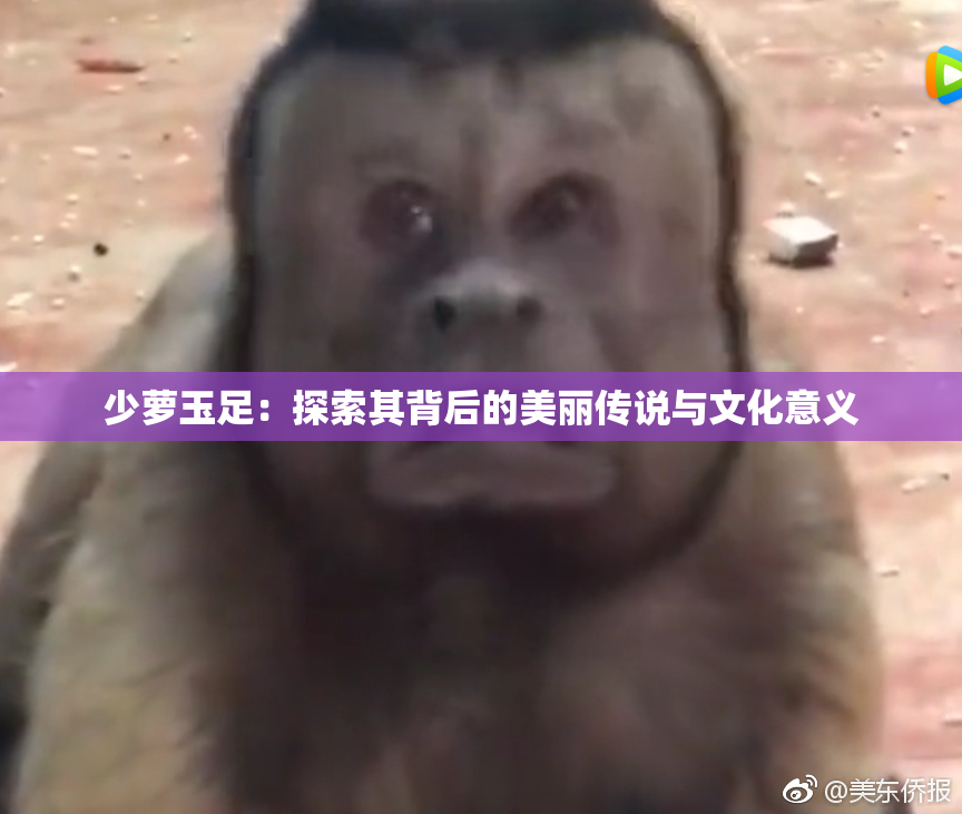 少萝玉足：探索其背后的美丽传说与文化意义