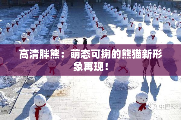 高清胖熊：萌态可掬的熊猫新形象再现！