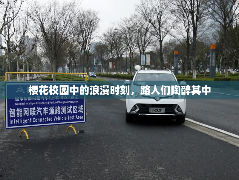 樱花校园中的浪漫时刻，路人们陶醉其中