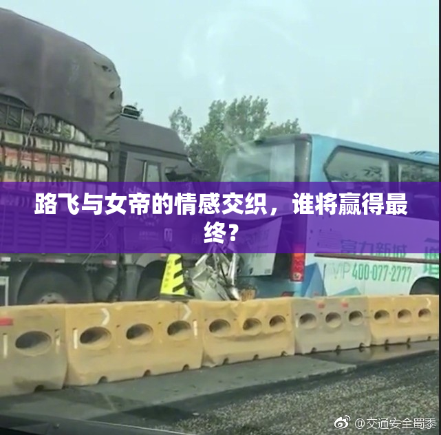 路飞与女帝的情感交织，谁将赢得最终？