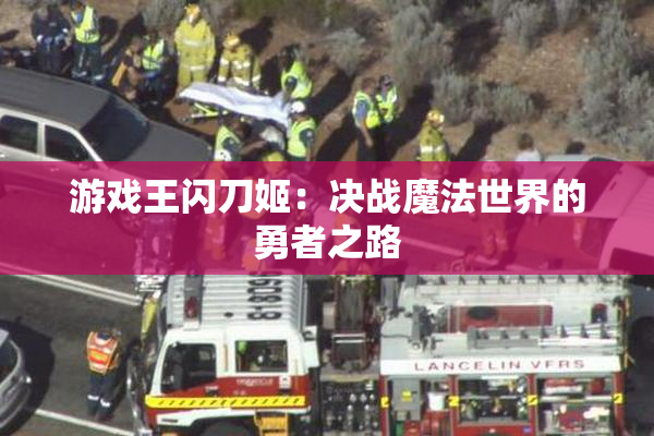 游戏王闪刀姬：决战魔法世界的勇者之路