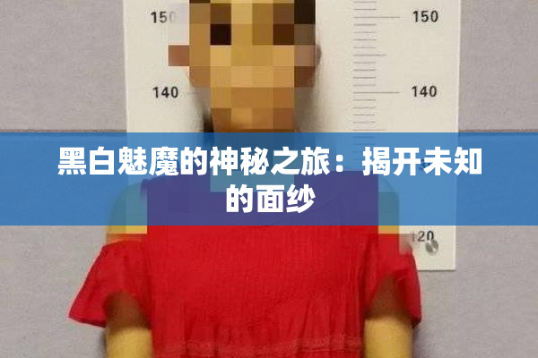 黑白魅魔的神秘之旅：揭开未知的面纱