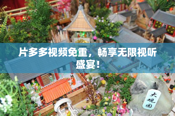 片多多视频免重，畅享无限视听盛宴！