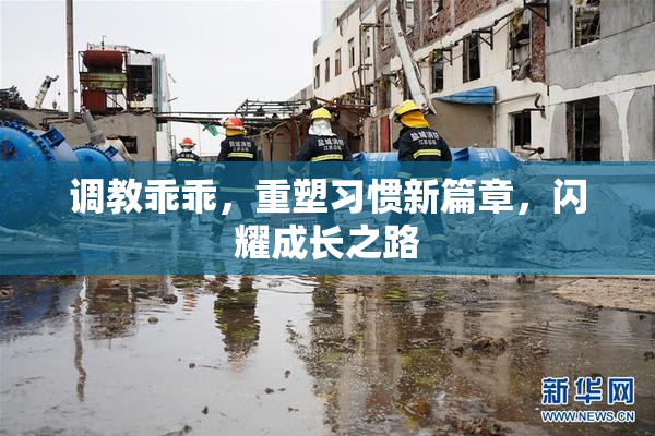 调教乖乖，重塑习惯新篇章，闪耀成长之路