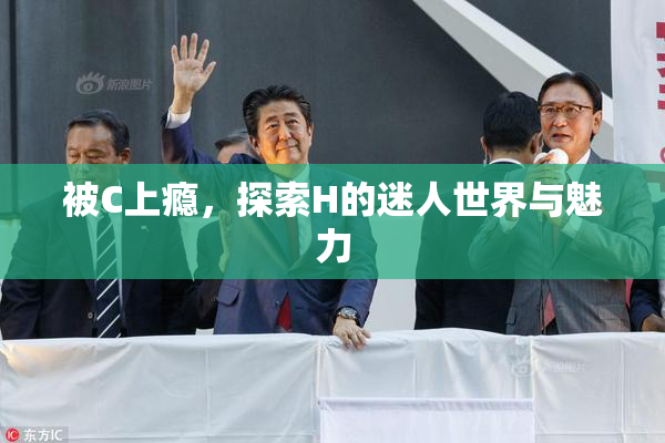 被C上瘾，探索H的迷人世界与魅力