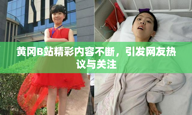 黄冈B站精彩内容不断，引发网友热议与关注