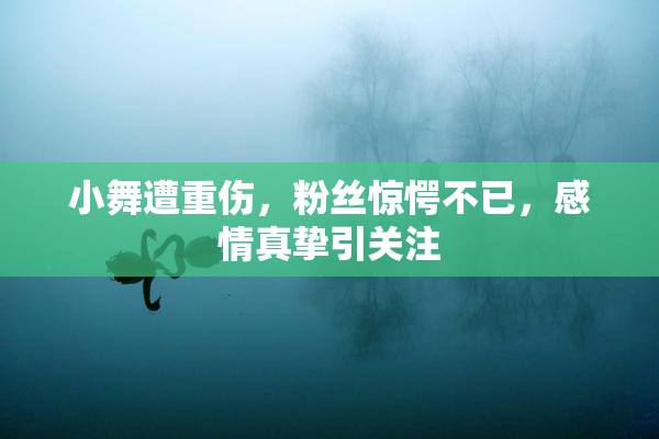小舞遭重伤，粉丝惊愕不已，感情真挚引关注