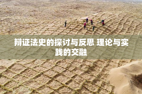辩证法史的探讨与反思 理论与实践的交融