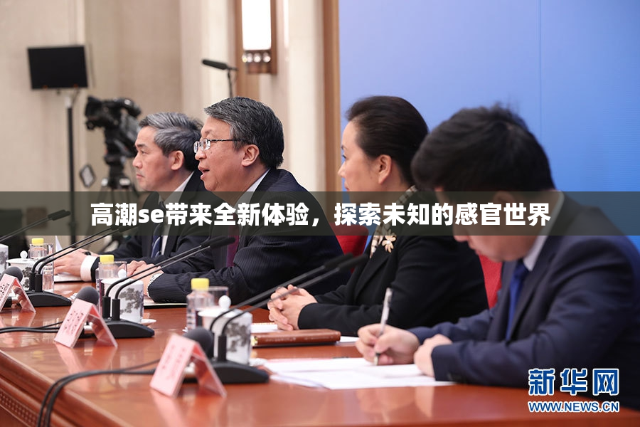 高潮se带来全新体验，探索未知的感官世界