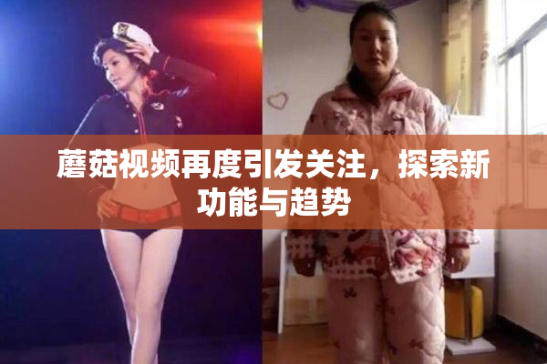 蘑菇视频再度引发关注，探索新功能与趋势
