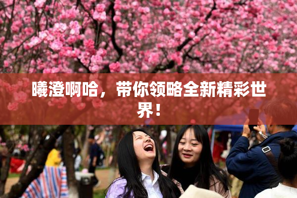 曦澄啊哈，带你领略全新精彩世界！