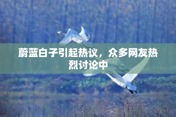 蔚蓝白子引起热议，众多网友热烈讨论中