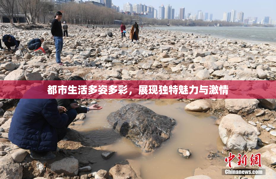 都市生活多姿多彩，展现独特魅力与激情