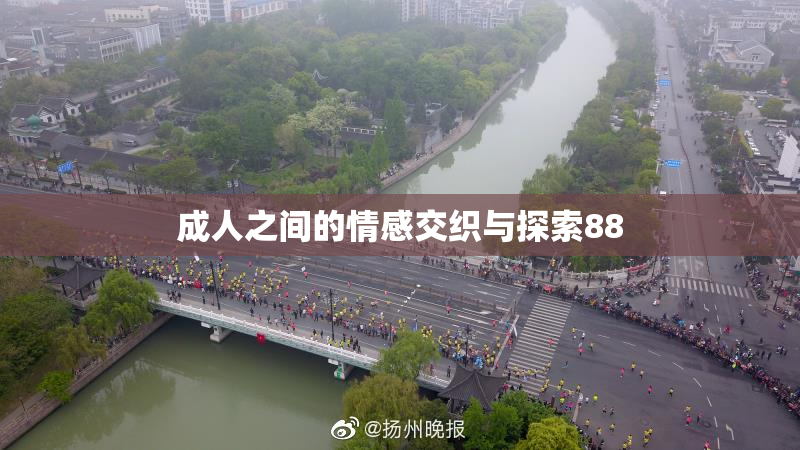 成人之间的情感交织与探索88