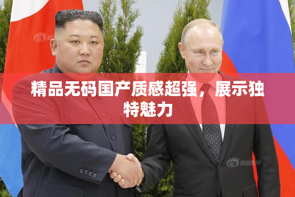 精品无码国产质感超强，展示独特魅力