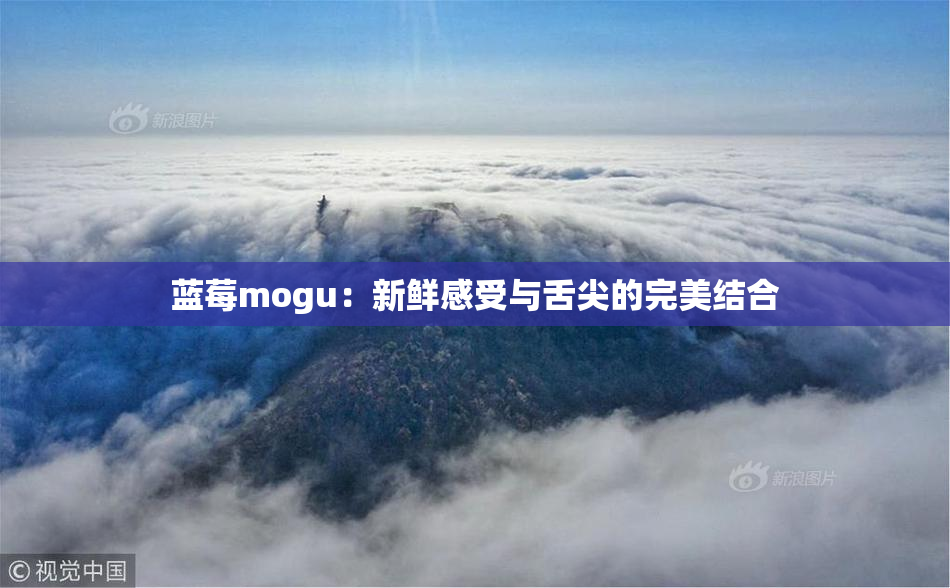 蓝莓mogu：新鲜感受与舌尖的完美结合
