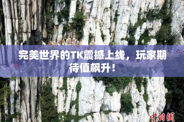 完美世界的TK震撼上线，玩家期待值飙升！