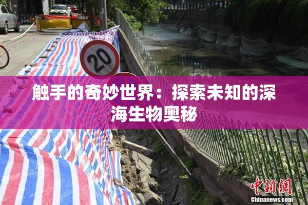 触手的奇妙世界：探索未知的深海生物奥秘