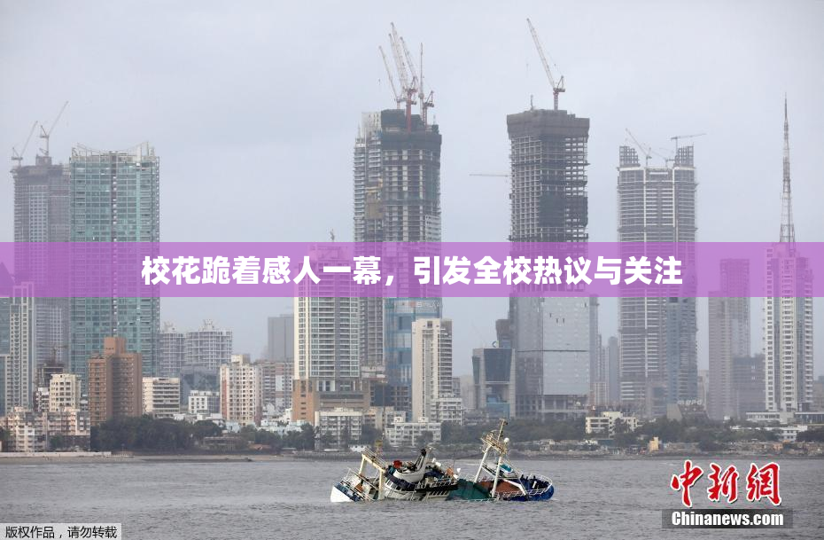校花跪着感人一幕，引发全校热议与关注