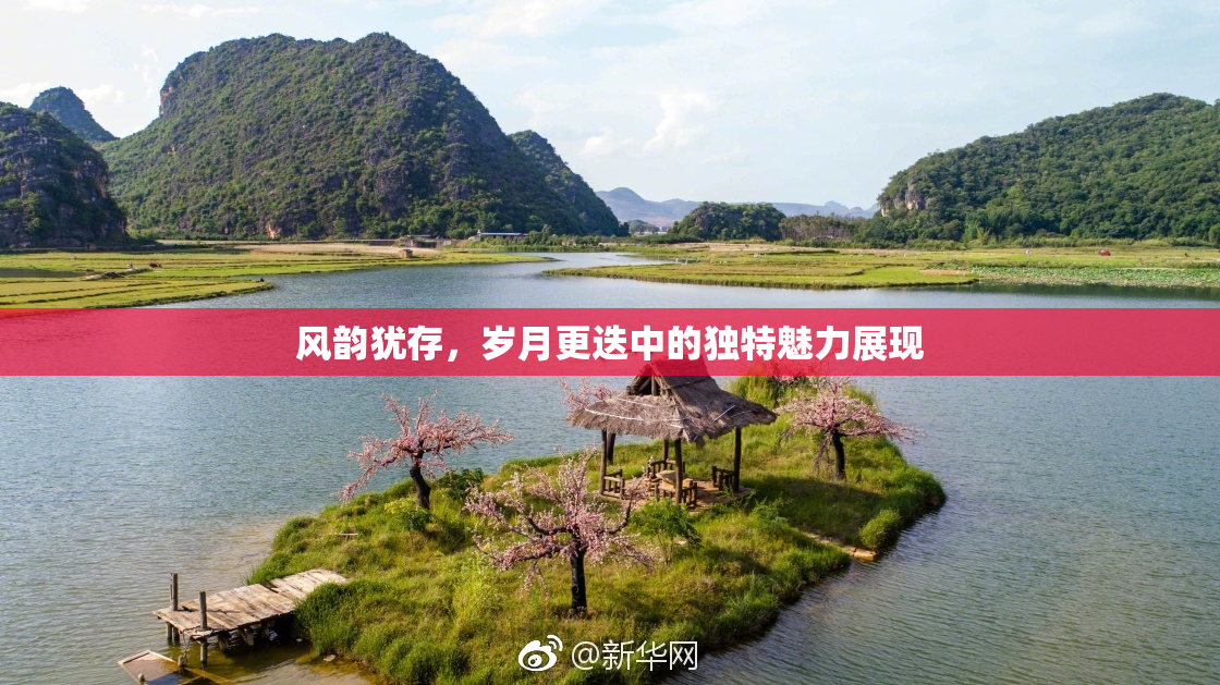 风韵犹存，岁月更迭中的独特魅力展现