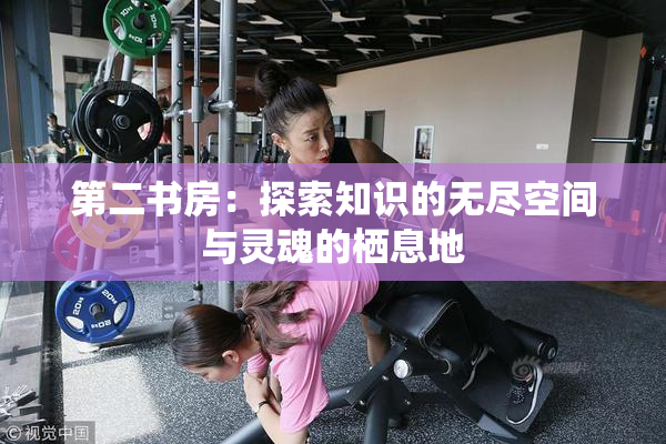 第二书房：探索知识的无尽空间与灵魂的栖息地
