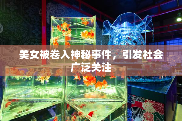 美女被卷入神秘事件，引发社会广泛关注