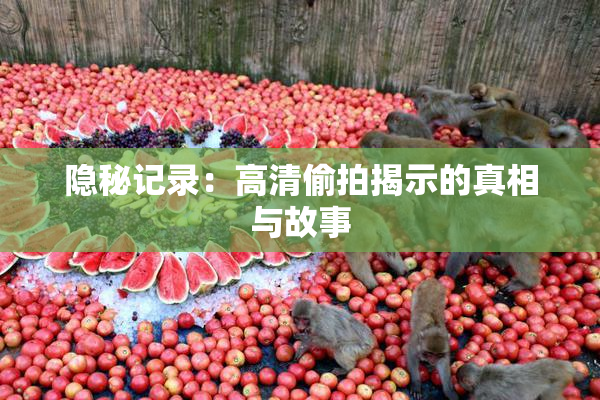 隐秘记录：高清偷拍揭示的真相与故事