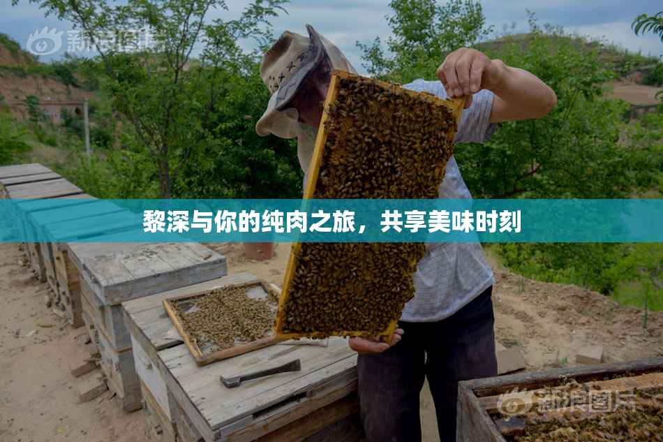 黎深与你的纯肉之旅，共享美味时刻